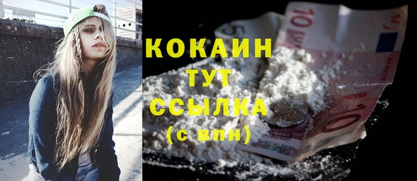 соль курить ск Новозыбков