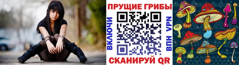 Купить где  Княгинино  Псилоцибиновые грибы Psilocybine cubensis 